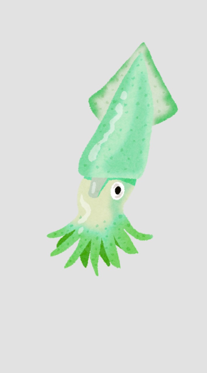 Super Squid Camp 🦑