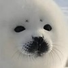 中学・高校生集まれ‼️‼️‼️‼️ 〜宿題・勉強を終わらせ隊〜