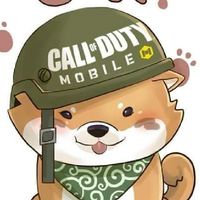 CALL OF​ DUTY​ MOBILE​
