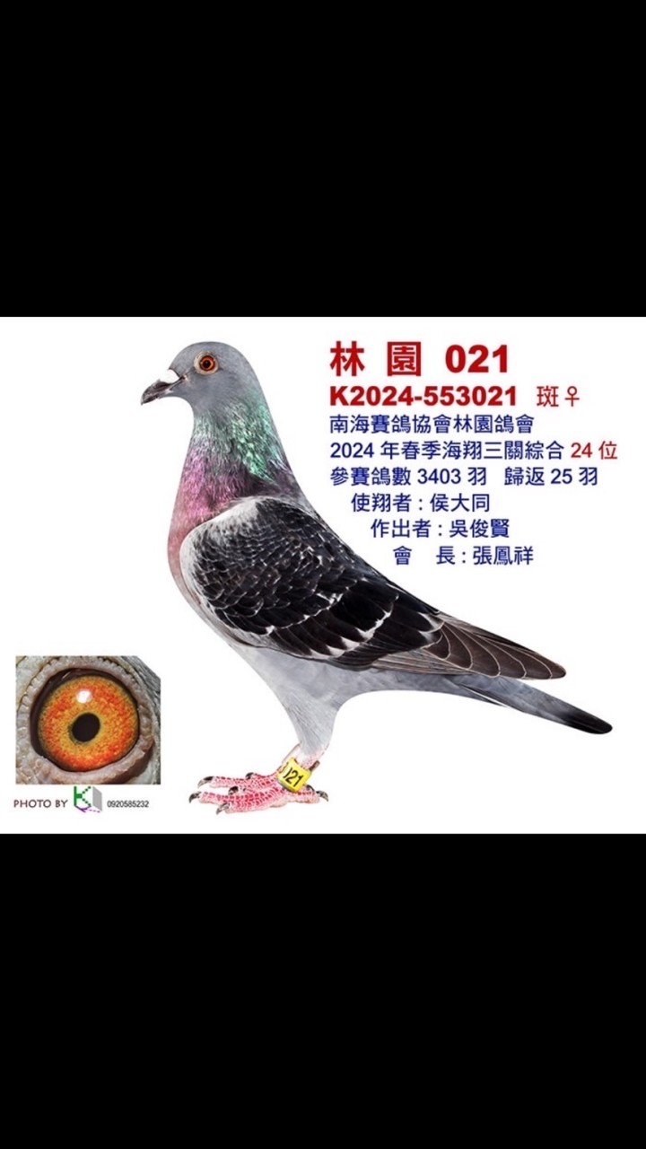 南海飛哥-教學與產品資訊