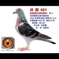 南海飛哥-教學與產品資訊