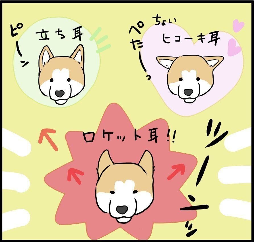 健気すぎて 泣けちゃう 帰宅した飼い主を喜んで出迎える犬の姿にグッとくる