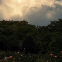 聊天