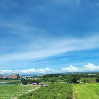 政府標案-服務建議書＆簡報