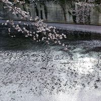 グルメ探訪chiba〜美味しい情報シェア・食べ歩き