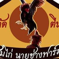 นายช่างฟาร์มไก่ชน(ปากกัดตีนถีบCamp)ก๋อยง่อนเมืองทับหลังฯ
