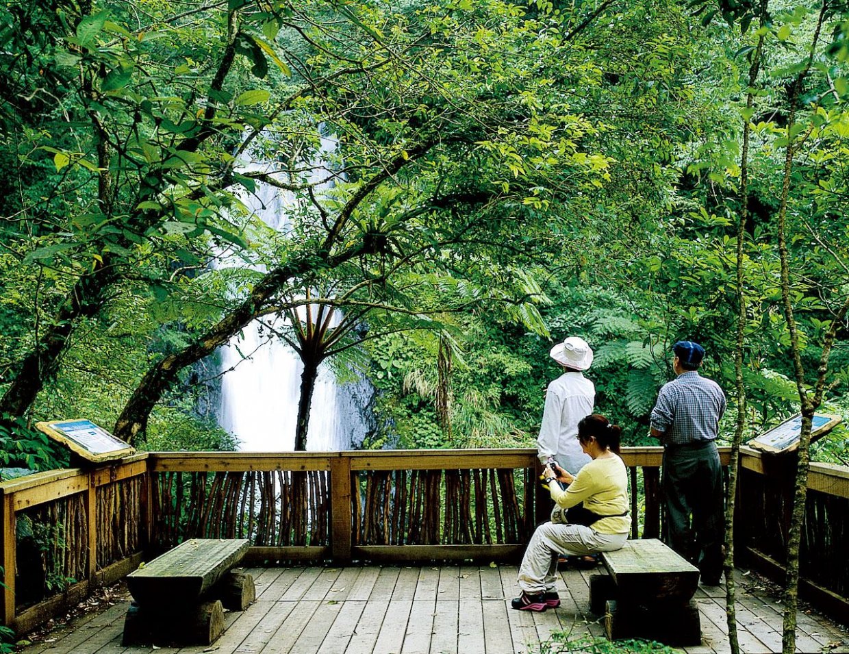 ９條宜蘭森林步道防疫秘境｜宜蘭森呼吸走步道防疫