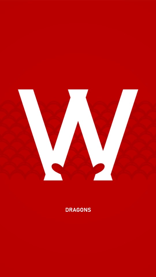 Dragons龍耀再起⚾️🐲