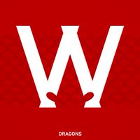奔龍而上⚾️🐲