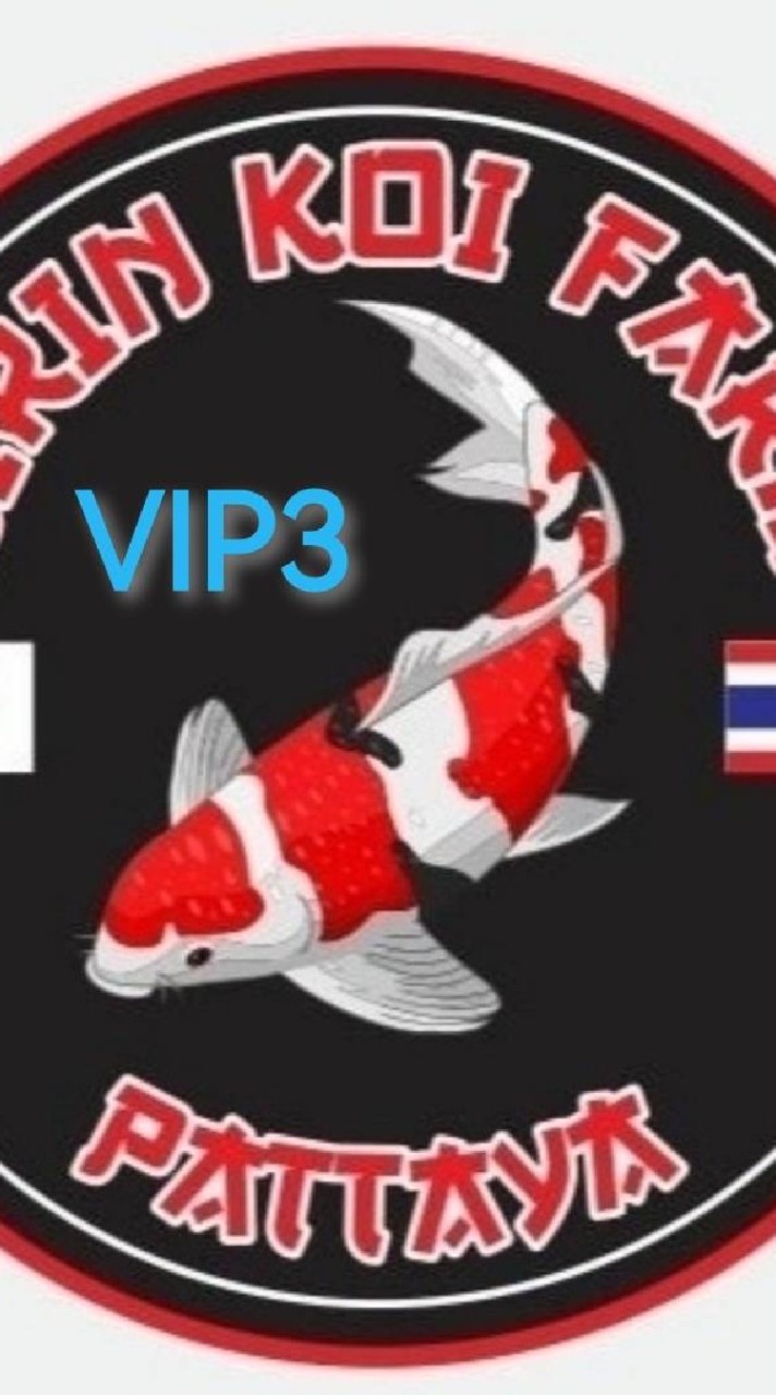 SIRIN​ KOI​ FARM​ VIP​3🇯🇵