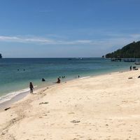 壢新老戰友醫師交流園地