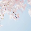 精靈｜日本優惠分享
