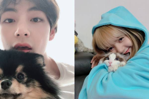 10 Potret Kedekatan Idola Kpop Hewan Peliharaannya Gemes Banget
