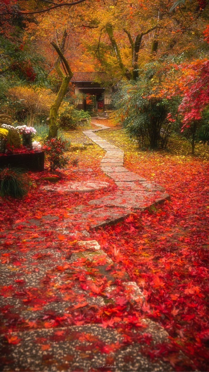 🌈 同じ空の下、みんな笑顔になーれ ꕤ︎︎·͜·