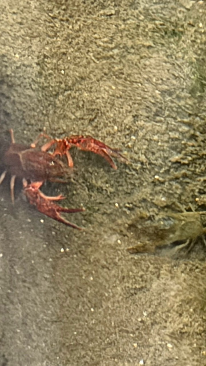 理系生物おたくの部屋