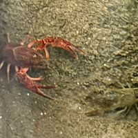 理系生物おたくの部屋