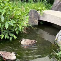 理系生物おたくの部屋