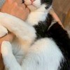 理系生物おたくの部屋