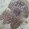 理系生物おたくの部屋