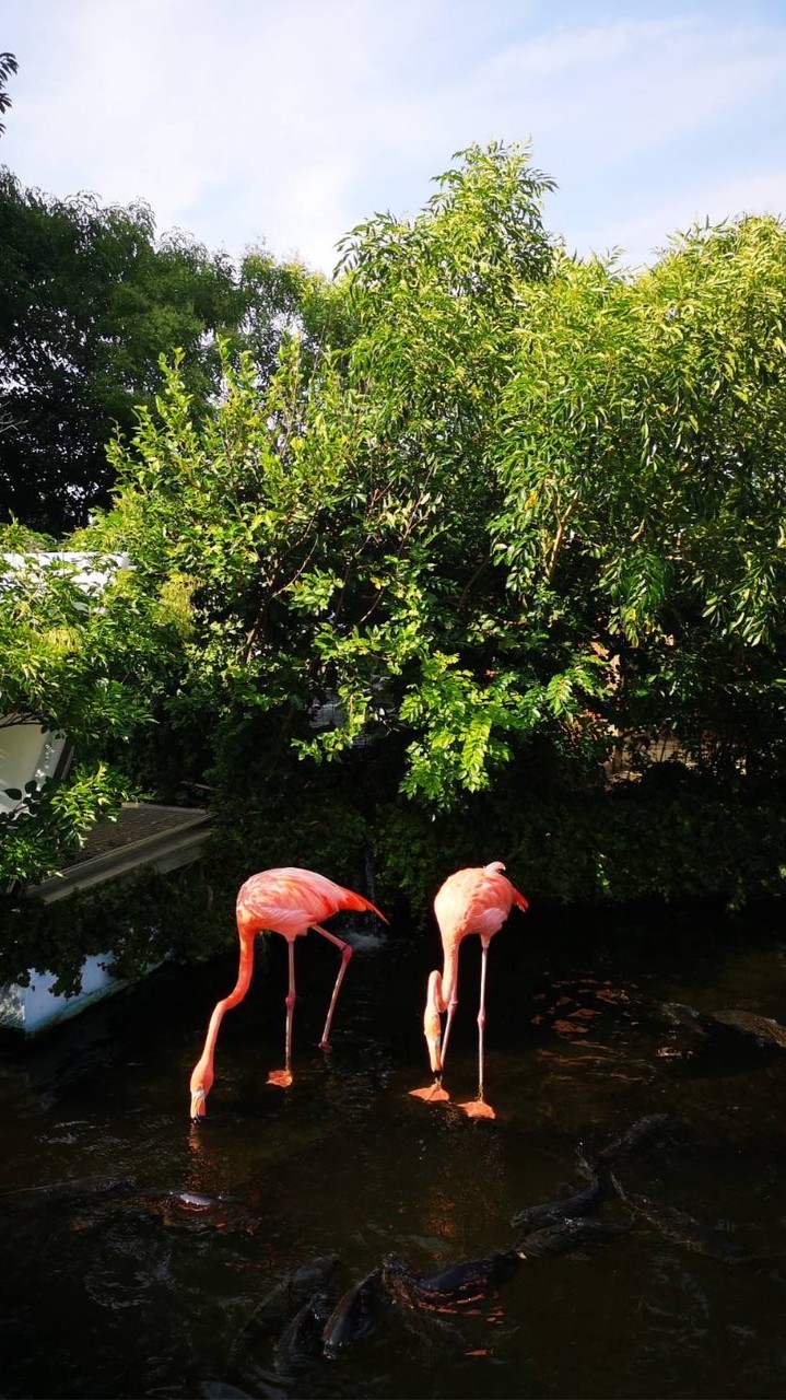 理系生物おたくの部屋