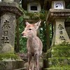 理系生物おたくの部屋