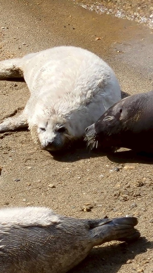 理系生物おたくの部屋