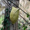 理系生物おたくの部屋
