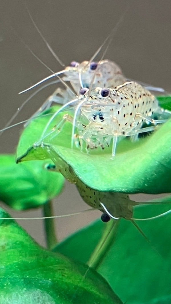 理系生物おたくの部屋