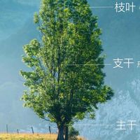 李辛中醫師醫學理念交流會