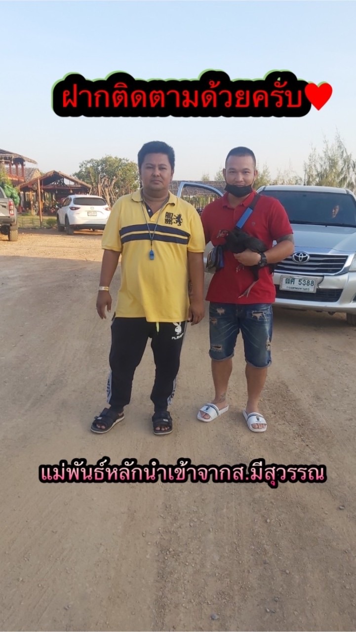 💥เพชรอาชวิน ฟาร์ม💥🤟