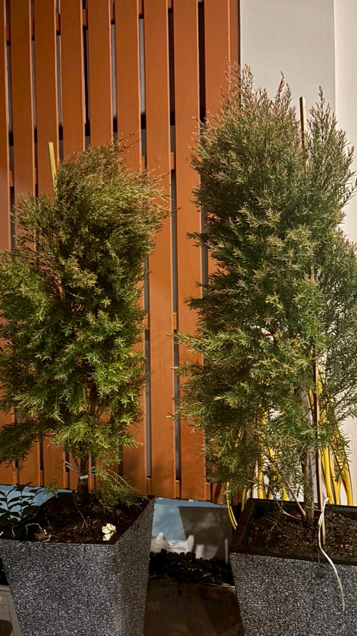 เรื่องเรียน