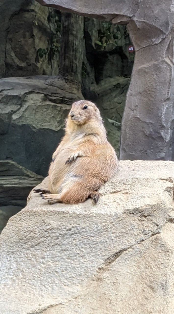 神戸・明石ママ【昭和ママ】35歳以上の集まり✨