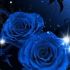 霊視タロットヒーリング【うたかた🪽🫧】ブロック解除 浄化します🤍ꔛ‬集まれ‼️