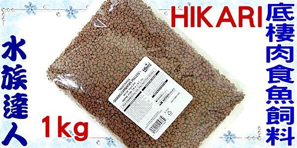 【水族達人】日本Hikari《高夠力 底棲肉食魚專用營養飼料(小顆粒) 21966 1kg 》沉水性 日本製造
