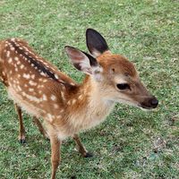 奈良ビジネス〈ならまちで交流を盛りあげよう！〉