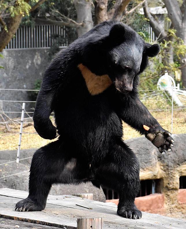 樹懶嘛欸傳訊息 超人氣動物園 韓國喜劇電影2 14 上映 工讀生勸你最好是給我出來喔 電影神搜 Line Today