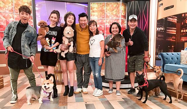 今日娛樂爆 曾莞婷寵溺愛犬行李箱衣服全丟只為裝狗糧 Nownews 今日新聞 Line Today