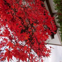 岐阜、愛知、三重、みんなで話そう会☕