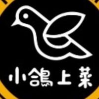 小鴿打卡