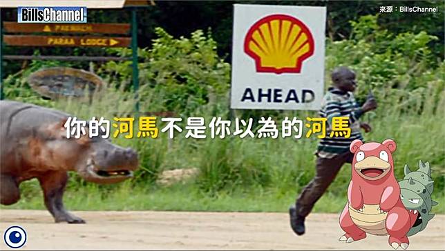 世上最危險動物之一 河馬一年咬死0多人 民視新聞網 Line Today