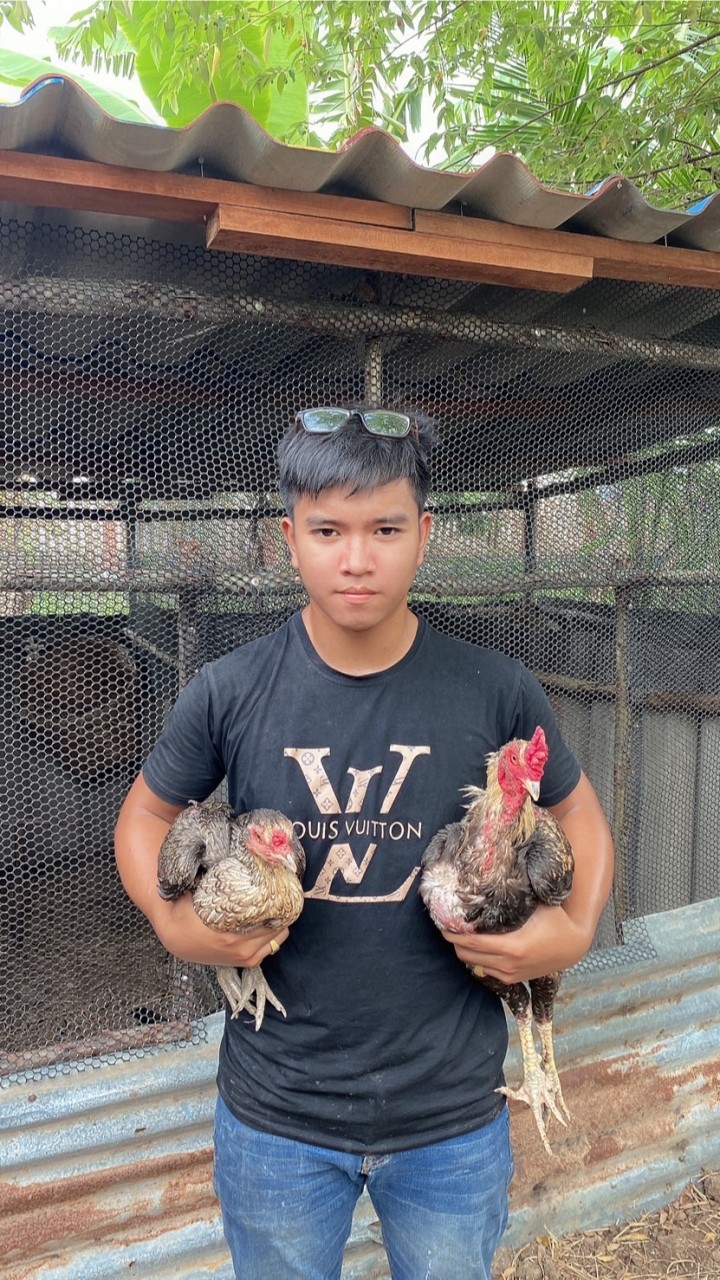 ซุ้ม เกียรติยศ ฟาร์ม พม่าแข้งเพชร