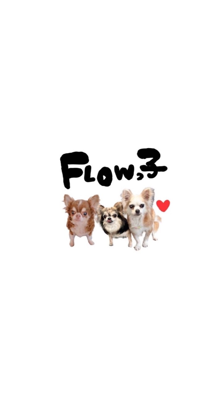 FLOWっ子🐶
