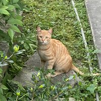 守望相助喵🐱