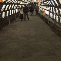 学生限定〜雑談、恋バナ等話そー