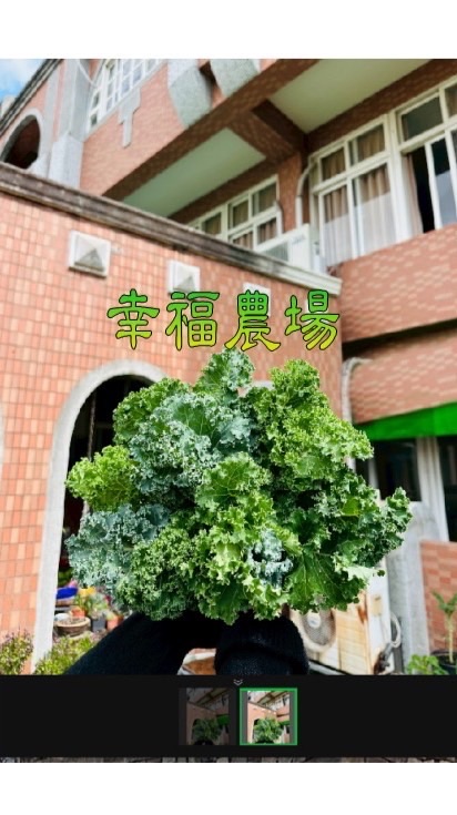 幸福國小有機農園蔬菜預購
