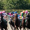 健全な競馬好きの集い。