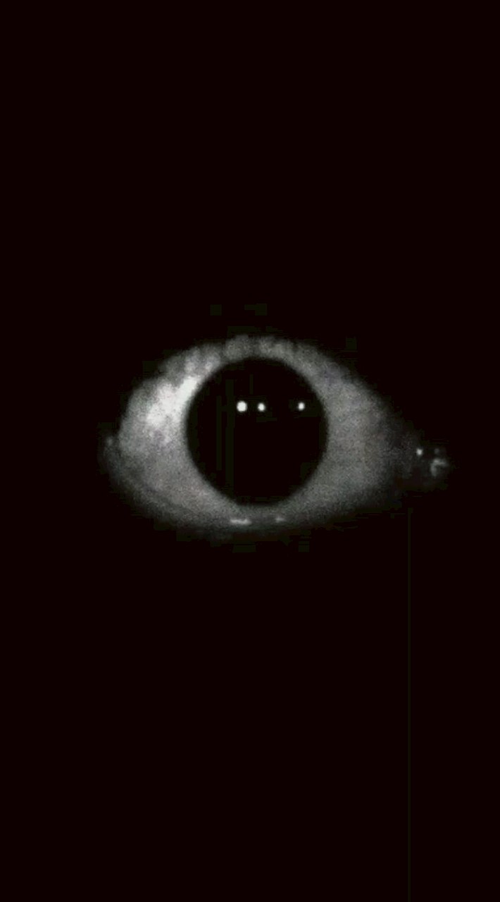 Robloxia: Eyes Nightmare