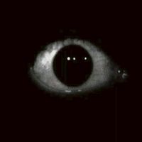 Robloxia: Eyes Nightmare