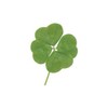 ซื้อ-ขาย เมล by.socute 🍀࣪ ִ