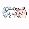 吉伊卡哇團購群✨官網現貨常駐開團
